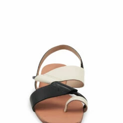 Hot Sale 💯 BCBGMaxazria MARLIN BLACK/WHITE LEATHER FLAT 🩴 SANDAL for 👩 women ⭐ -Bcbgmaxazria Sales Store 2325eff55fd646588e5c644619e6caf8 1080x