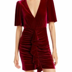 Top 10 🛒 BCBGMAXAZRIA 👩 Womens Velvet Mini Cocktail and Party 👗 Dress ✨
