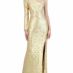 Best reviews of 🛒 BCBGMAXAZRIA 👩 Womens Sequined Long Evening 👗 Dress 👍