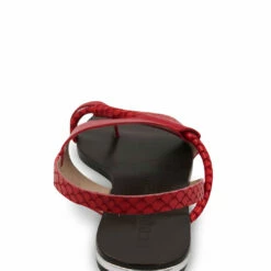 Brand new 🎉 BCBGMaxazria MARLIN VERMELHO LEATHER FLAT 🩴 SANDAL for 👩 women 🎁 -Bcbgmaxazria Sales Store 9711235a65a34c8ab3e477e67de0b75f 1080x